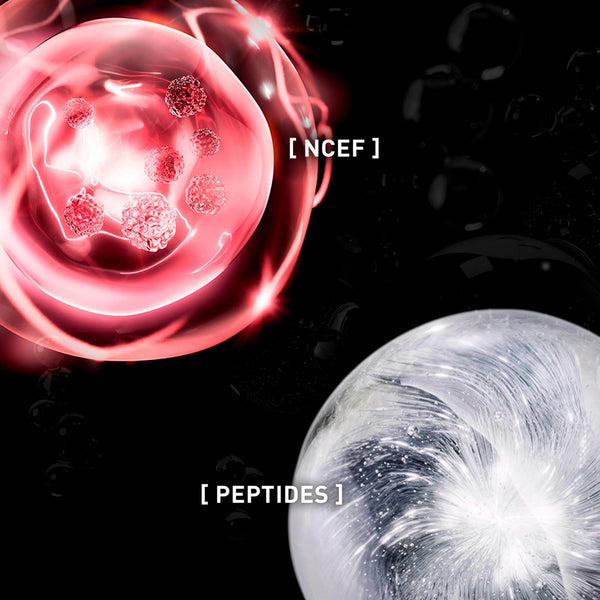 Ingredientes principais e fórmula de Uv Cellular Protect Face