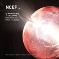 FLG_E-COMMERCE_NCEF-REVERSE EYES_05